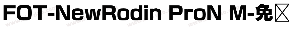FOT-NewRodin ProN M字体转换